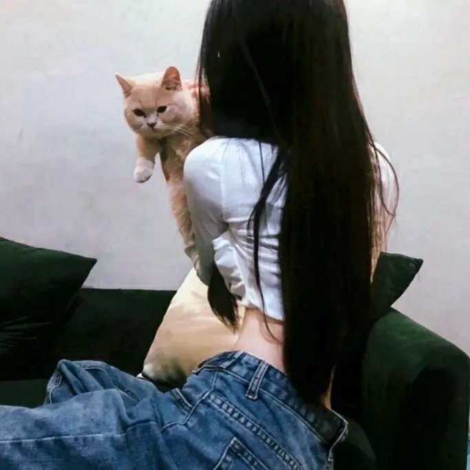 反对夫人哈德利之战